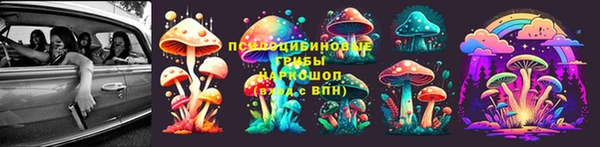 PSILOCYBIN Абинск